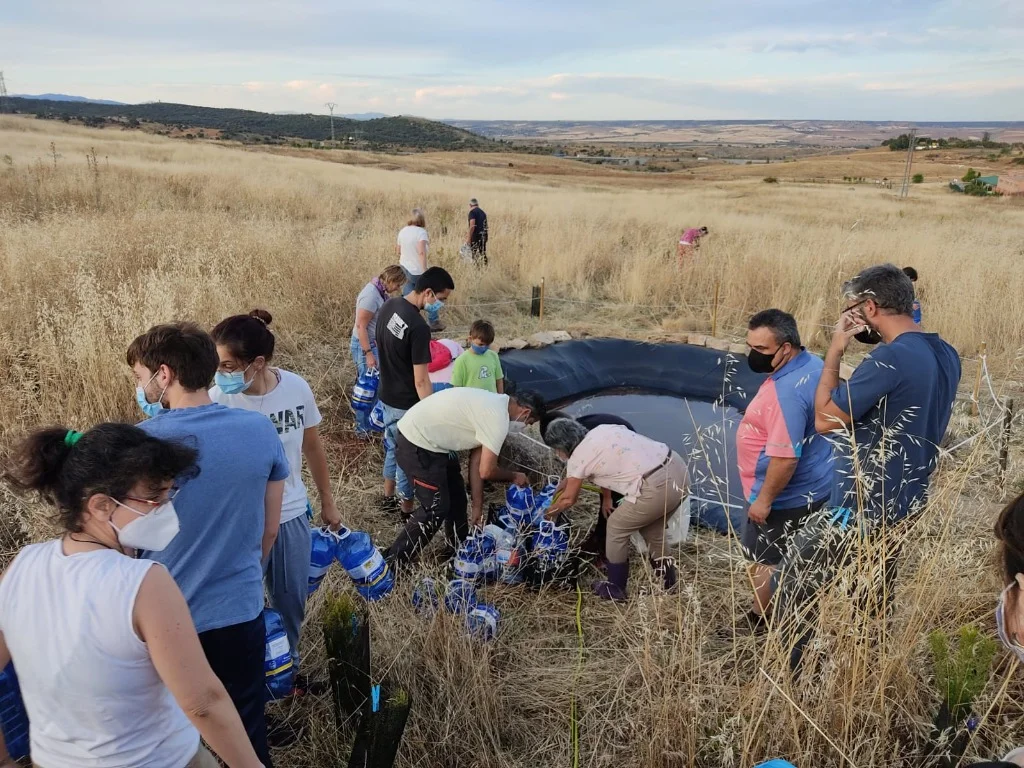 Cavar zanjas de drenaje
